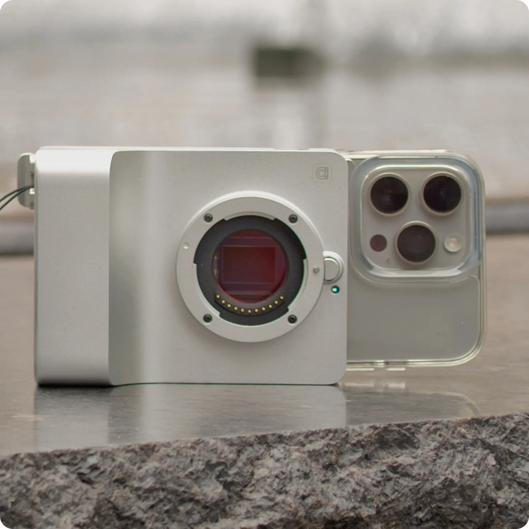 Caira body only - Silver